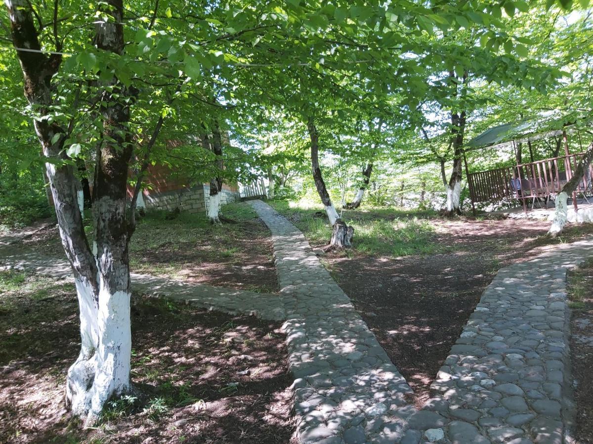 Quba Alfa-M Motel Экстерьер фото